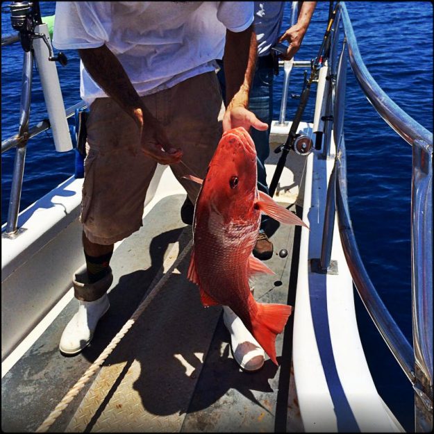 florida charter fishing