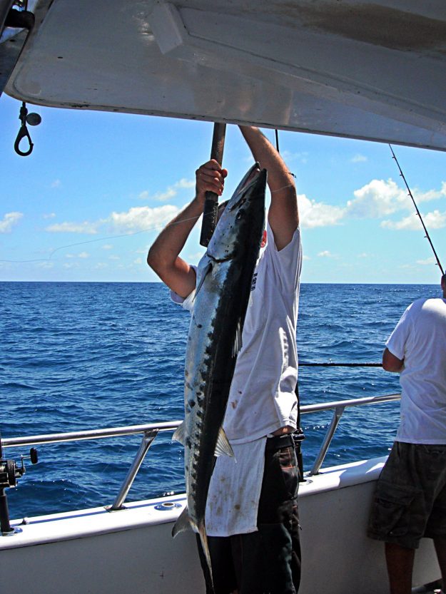 charter fishing florida barracuda