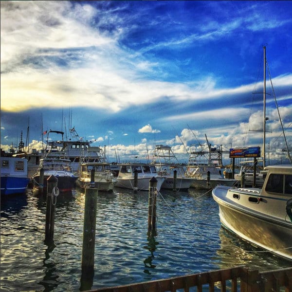 best charter fishing boats in florida