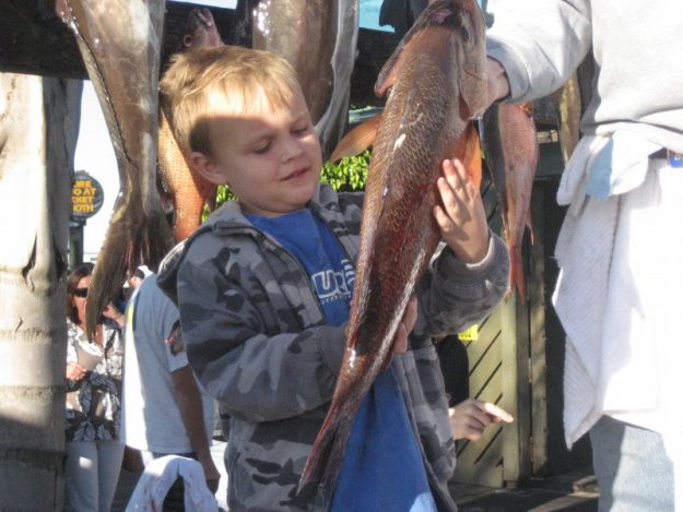 deep sea fishing large snapper
