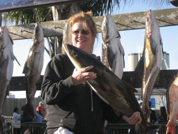 deep sea fishing cobia in march