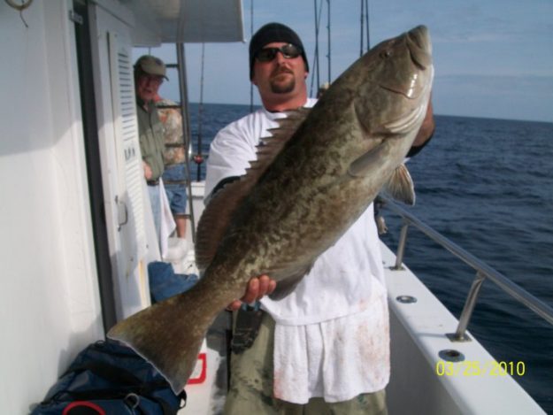 grouper port Canaveral charter fishing reports