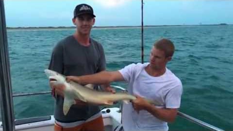 shark fishing near Cape Canaveral