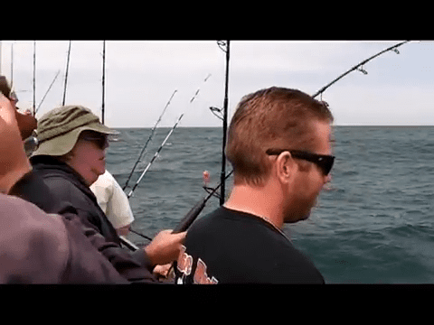 shark fishing florida videos