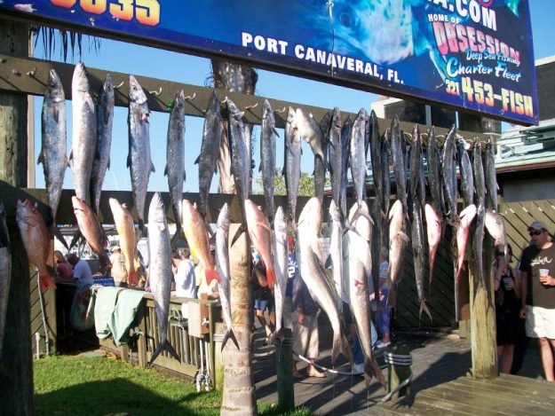 deep sea fishing reports florida