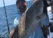 deep sea fishing port canaveral grouper full day